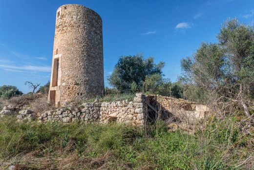 Terreno en Llubí, Islas Baleares