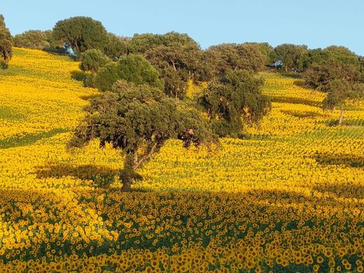 Demeure ou Maison de Campagne à El Bosque, Cadix