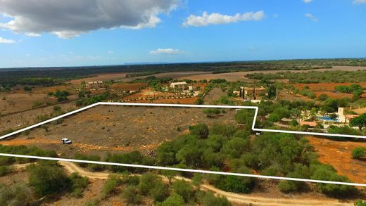 Teren w Ses Salines, Illes Balears