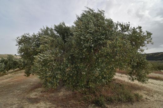 Terreno a Fornes, Provincia de Granada