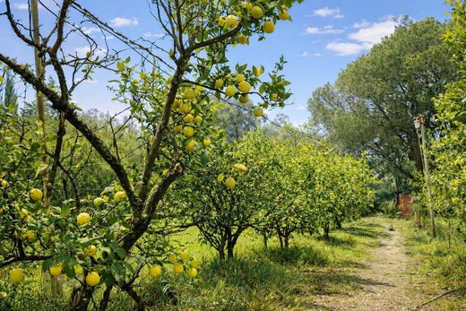 Rural or Farmhouse in Chiclana de la Frontera, Cadiz