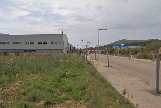 Land in Alcúdia, Province of Balearic Islands