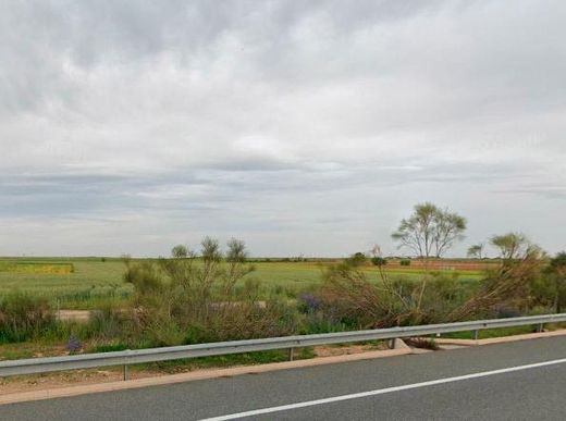 ‏קרקע ב  Ocaña, Province of Toledo
