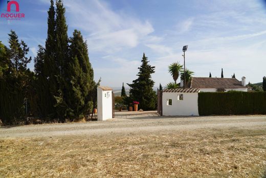 Maison de luxe à Santaella, Cordoue