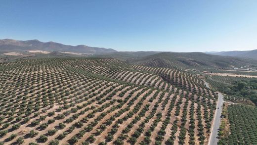 Arsa Albolote, Provincia de Granada