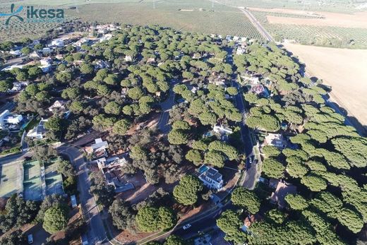 Land in Bollullos de la Mitación, Province of Seville