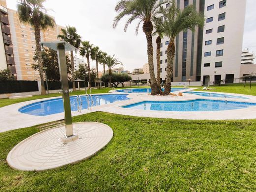 아파트 / Alicante, Provincia de Alicante