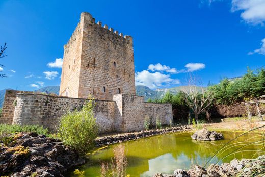 Zamek w Vallejo de Mena, Provincia de Burgos