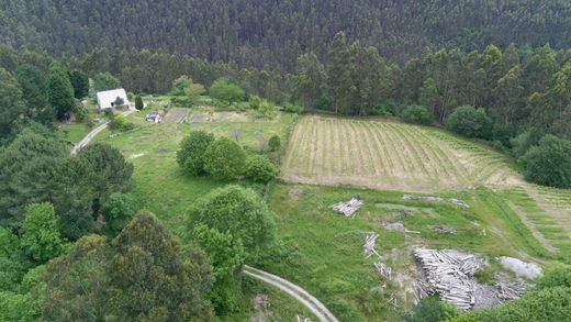 Teren w Bakio, Bizkaia