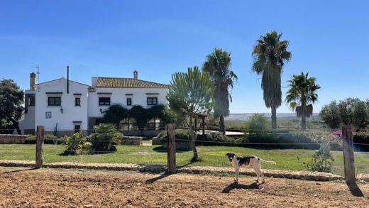 Ρουστίκ ή Αγροικίες σε Paterna del Campo, Provincia de Huelva