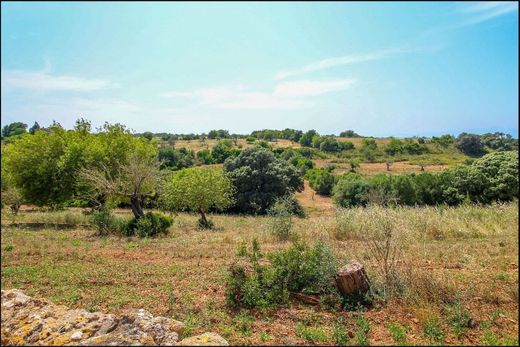 Manacor, Illes Balearsのカントリー風またはファームハウス