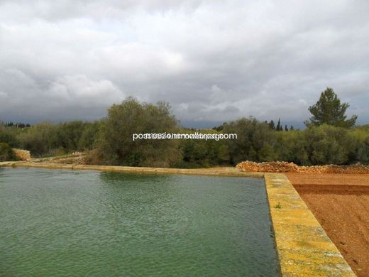 Rural or Farmhouse in Inca, Province of Balearic Islands