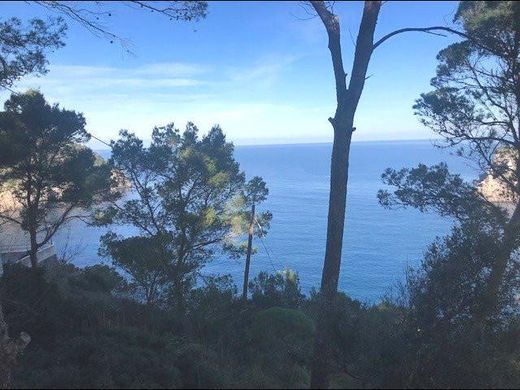 Terrain à Sóller, Province des Îles Baléares