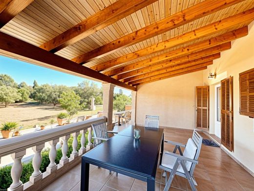 Rural ou fazenda - Pollença, Ilhas Baleares