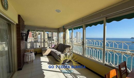 Apartment in Benidorm, Alicante