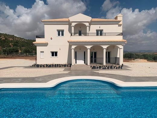 Villa in Pinoso, Alicante