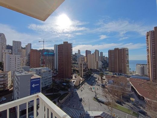 Apartment in Benidorm, Alicante