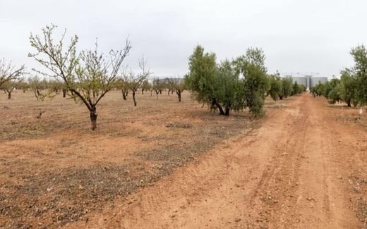 Terreno - Escúzar, Provincia de Granada