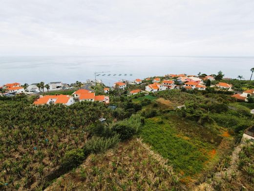 Land in Calheta, Madeira