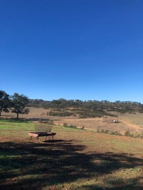 Land in Santiago do Cacém, Distrito de Setúbal