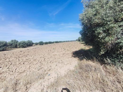 Land in Illescas, Province of Toledo