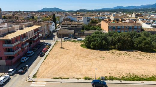 Land in sa Pobla, Province of Balearic Islands