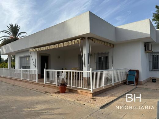 Detached House in Elche, Alicante