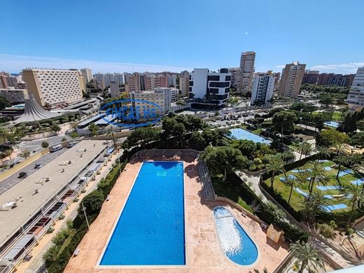 Penthouse in Alicante, Provinz Valencia