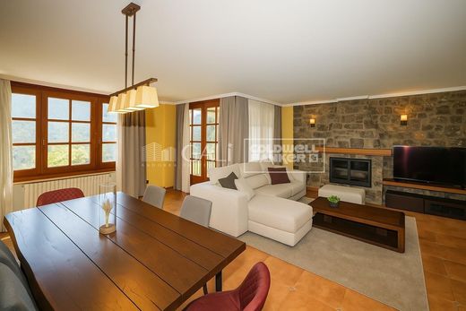 Apartment / Etagenwohnung in La Massana