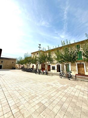 토지 / Selva, Illes Balears