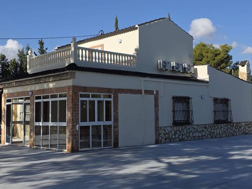 Dom jednorodzinny w Crevillente, Provincia de Alicante