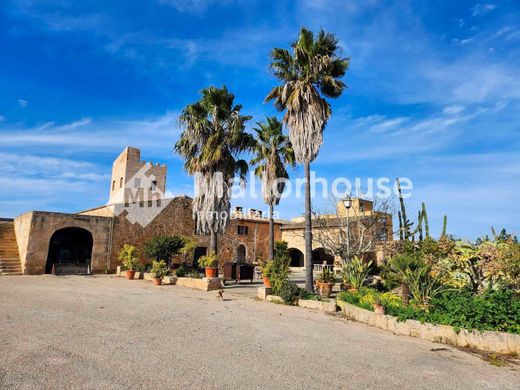 Santa Margalida, Illes Balearsのカントリー風またはファームハウス