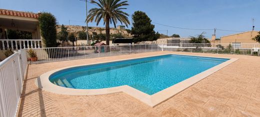 Einfamilienhaus in Elx, Alicante