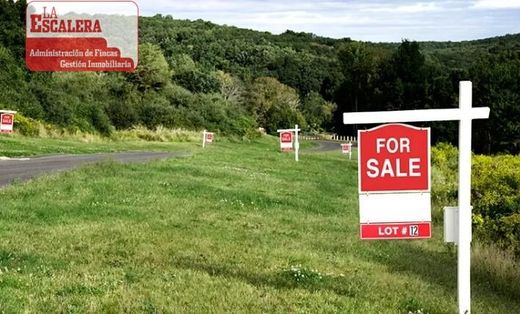 Αγροτεμάχιο σε Torrevieja, Provincia de Alicante