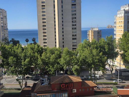 Apartment in Benidorm, Alicante