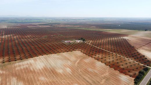 Land in Solana de los Barros, Badajoz