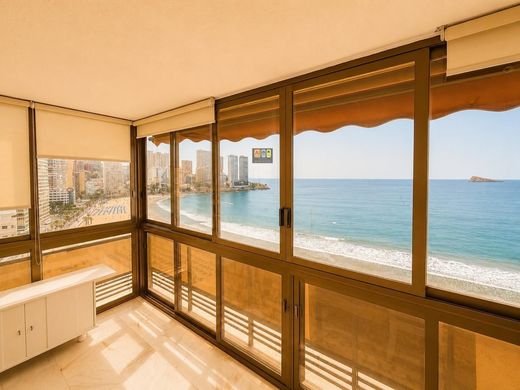 Daire Benidorm, Provincia de Alicante
