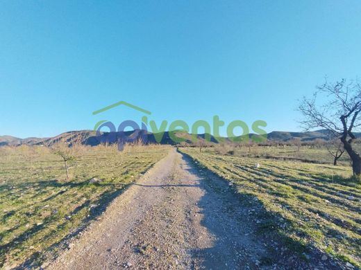 Rustykalny lub Wiejski w Lorca, Murcia