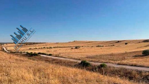 Terrain à Paracuellos de Jarama, Province de Madrid