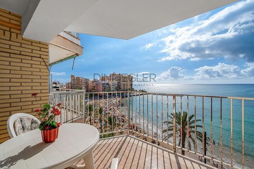 Apartment in Torrevieja, Alicante