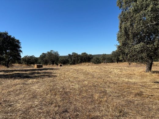 地皮  Pozoblanco, Province of Córdoba