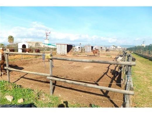 パルマ・デ・マリョルカ, Illes Balearsの土地