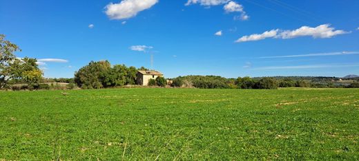 Grond in Petra, Balearen