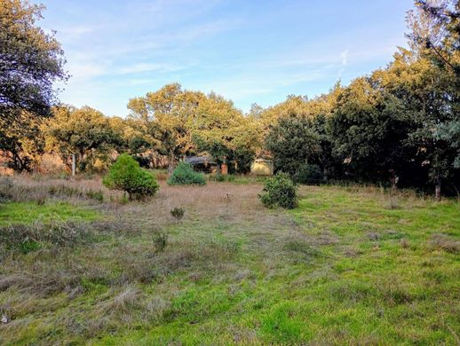 Land in Villanueva de la Cañada, Province of Madrid