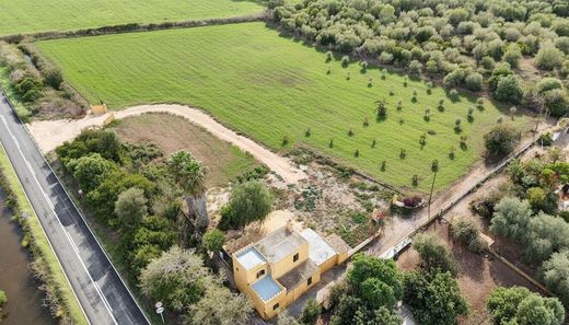 Casa di lusso a Alcúdia, Isole Baleari