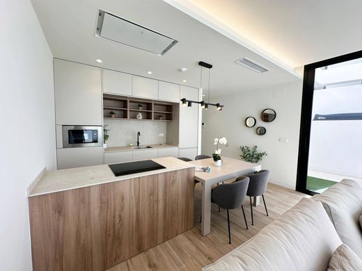 Detached House in Pilar de la Horadada, Alicante