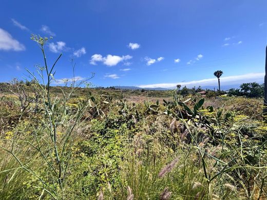 Αγροτεμάχιο σε Tacoronte, Provincia de Santa Cruz de Tenerife