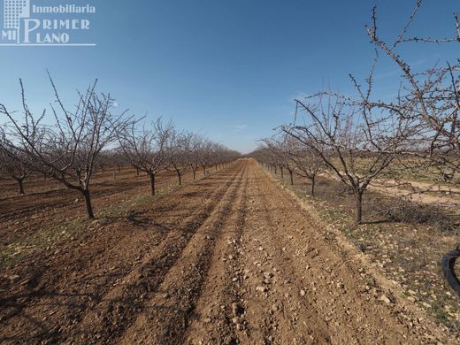 토지 / Tomelloso, Provincia de Ciudad Real