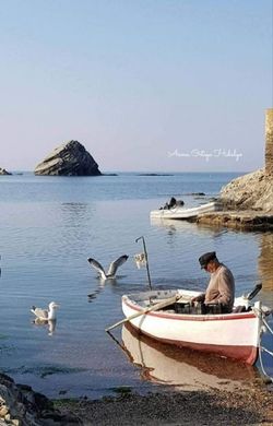 Grundstück in Cadaqués, Provinz Girona