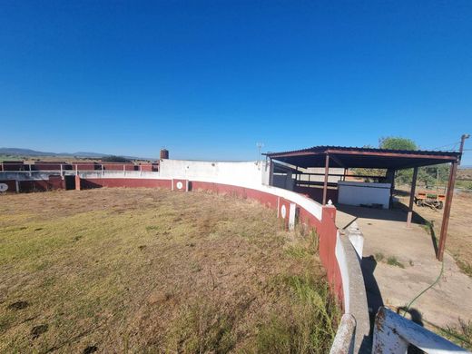 Terreno a Galisteo, Provincia de Cáceres